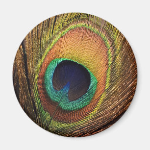 Aimant L'art de la nature 4Wilma