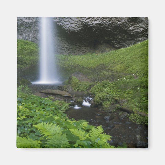 Aimant Latourell Falls, Gorge du fleuve Columbia, Oregon, (Devant)