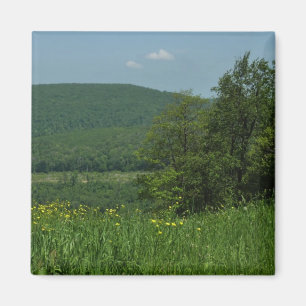 Aimant Laurel Highlands Pennsylvania Summer Photography