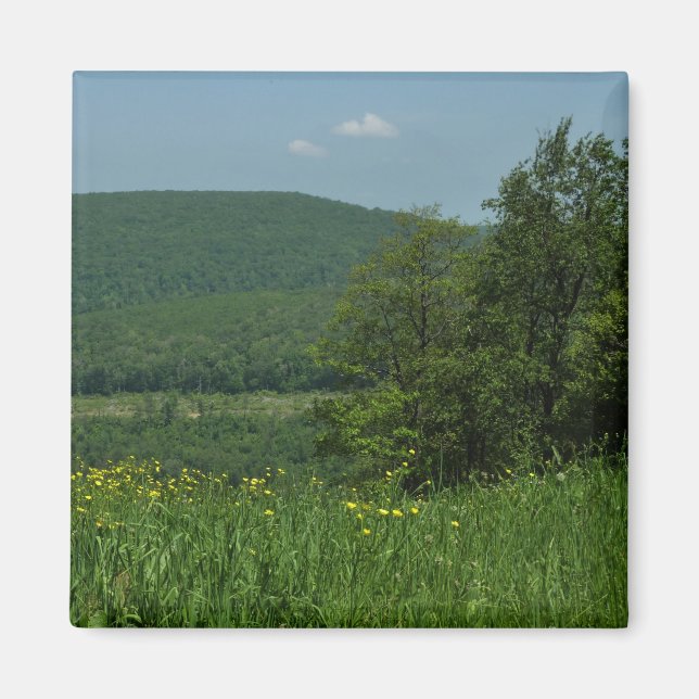 Aimant Laurel Highlands Pennsylvania Summer Photography (Devant)
