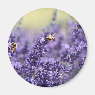 Aimant Lavande de printemps avec abeilles floral violet