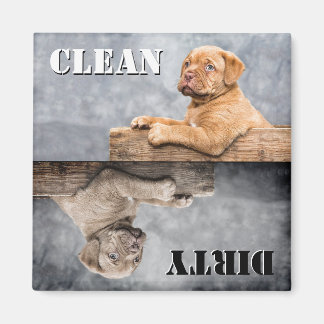 Aimant Lave-vaisselle pour chiot nettoyant