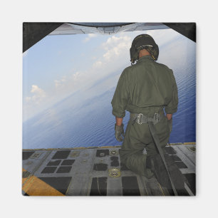 Aimant L'aviateur observe les eaux du Golfe de Mexic