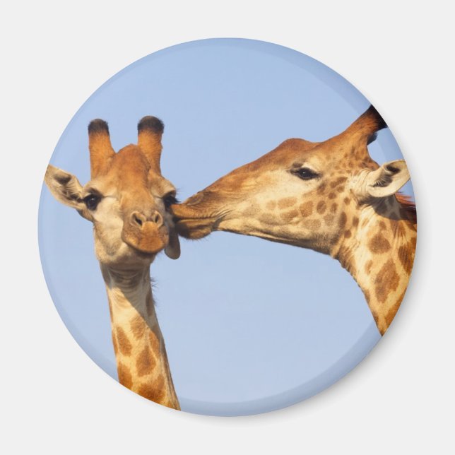 Aimant Le baiser (Devant)