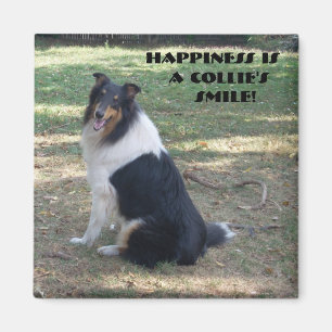 Aimant Le bonheur est le sourire de Collie