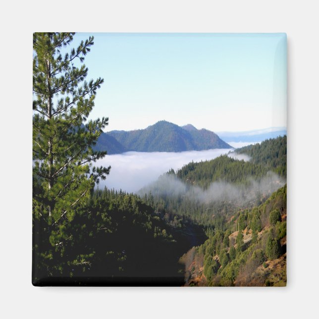 Aimant Le brouillard matinal qui fait rage....... (Devant)