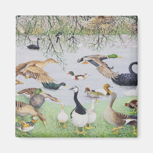 Aimant Le canard fou (Devant)