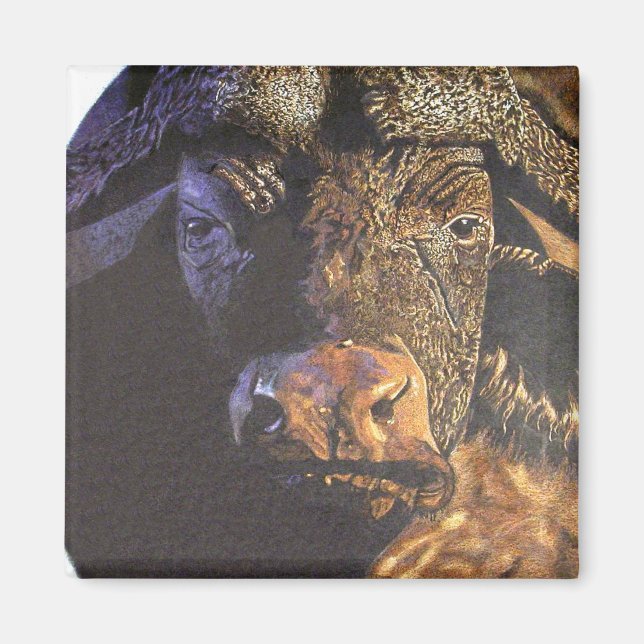 Aimant Le Cap Buffalo (Devant)