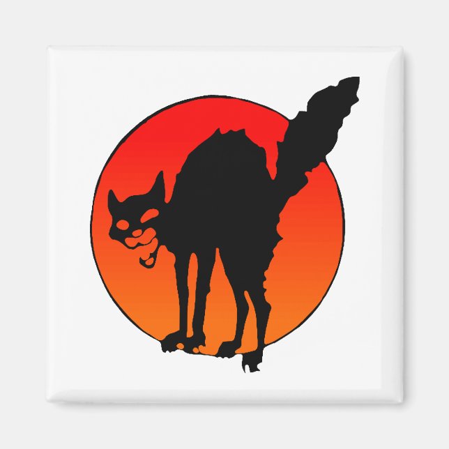 Aimant Le chat du syndicaliste (Devant)