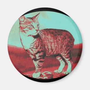 Aimant le chat mannois
