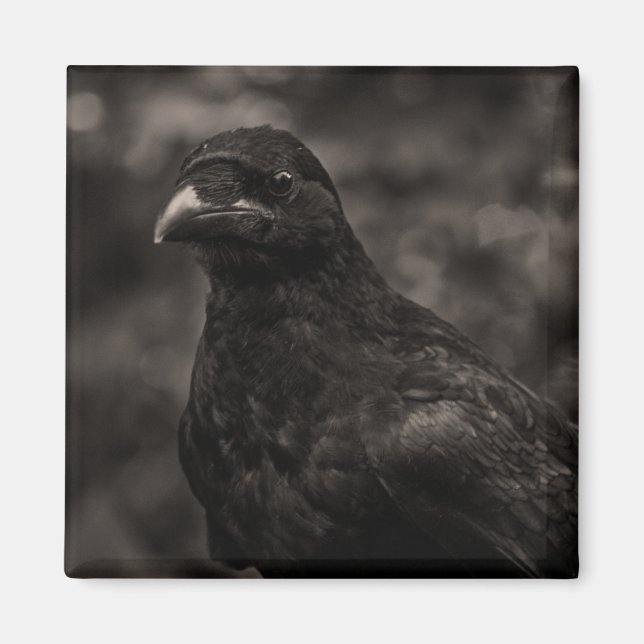 Aimant Le chercheur (Devant)