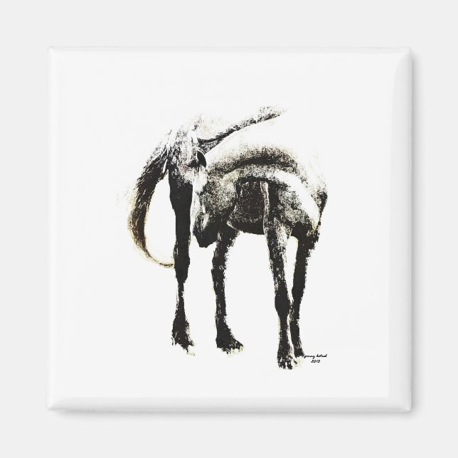 Aimant Le Cheval (Devant)