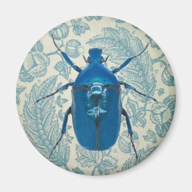 Aimant Le coléoptère bleu sur les Feuilles bleu plumes (Devant)