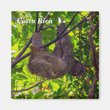 Le Costa Rica - paresse heureuse