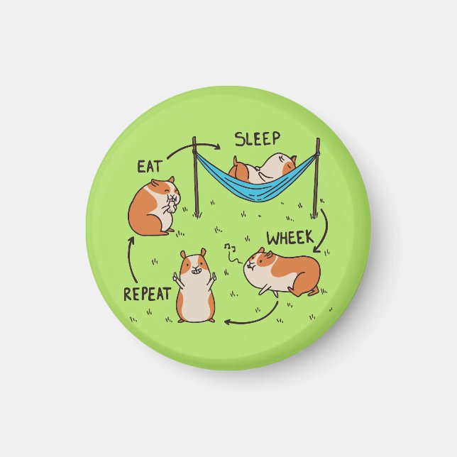 Aimant Le cycle de vie d'un cobaye (Devant)