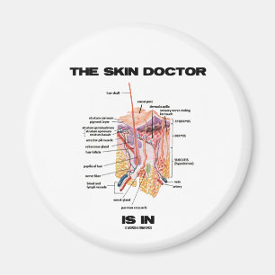 Aimant Le docteur de peau est dans (l'attitude de