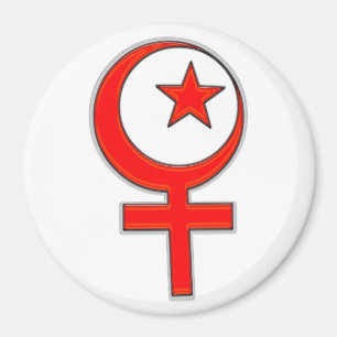 Aimant Le féminisme islamique…