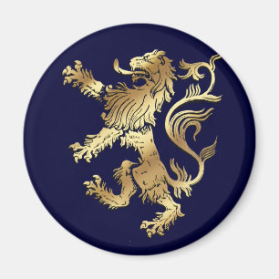 Aimant Le football de coupe du monde - le football 2014