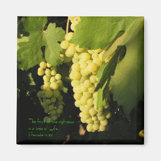 Aimant Le fruit des justes est un arbre de...