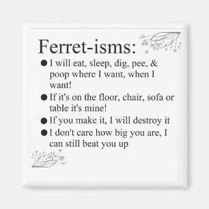 Aimant Le furet décrit des énonciations et des citation