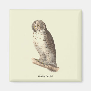 Aimant Le grand hibou gris (Strix nebulosa) NY Bird Image