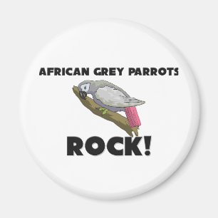 Aimant Le gris africain Parrots la roche