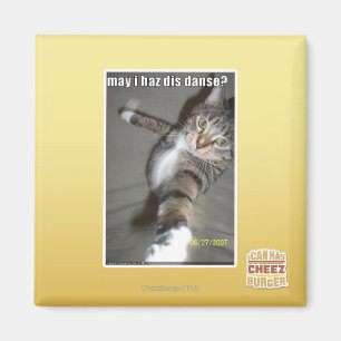 Aimant le haz DIS d'I peut-il danser ?