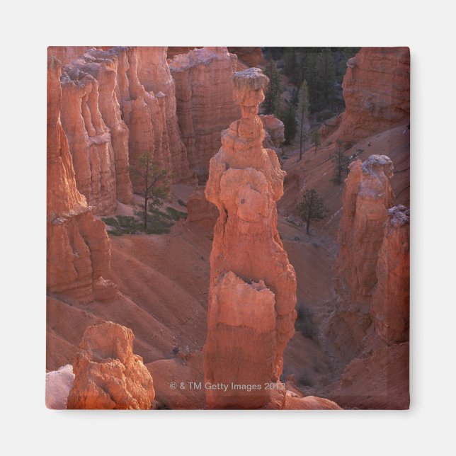 Aimant Le hoodoo Thor's Hammer sur Navajo Trail (Devant)