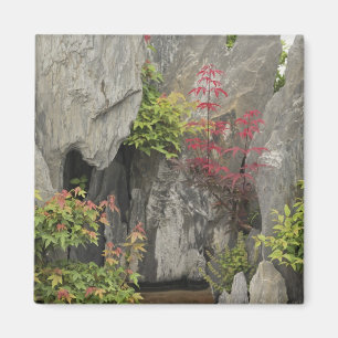 Aimant Le jardin de la famille Bao, Huangshan, Chine.