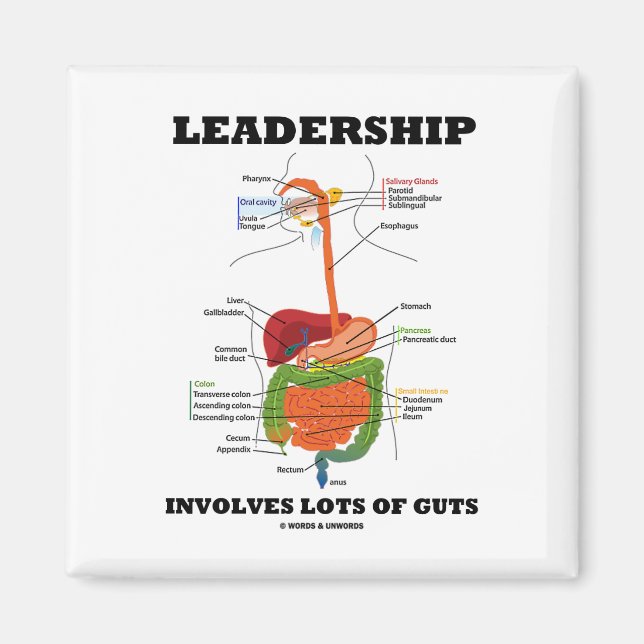 Aimant Le Leadership Implique De Nombreux Ingrédients (Hu (Devant)