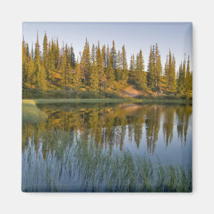 Aimant Le lever du soleil illumine les arbres sur un riva