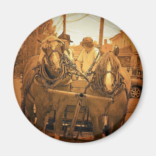 Aimant Le Maine vintage