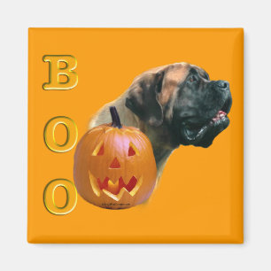 Aimant Le mastiff d'abricot huent l'aimant