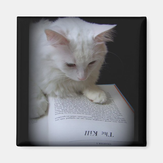 Aimant Le meurtre (Devant)