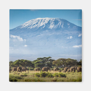 Aimant Le mont Kilimandjaro