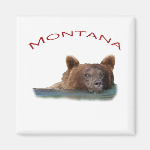 Aimant Le Montana