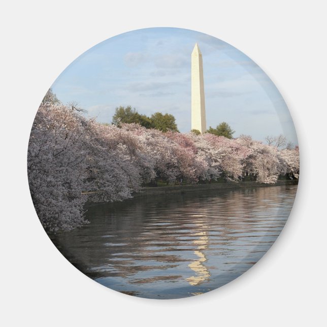 Aimant Le monument de Cherry Blossom Washington (Devant)