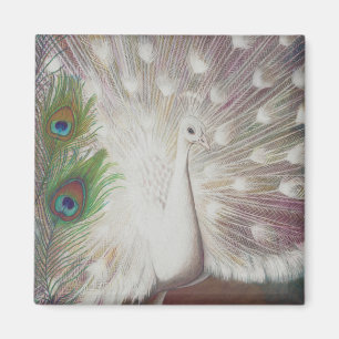 Aimant Le paon blanc et l'art vert de plume de paon