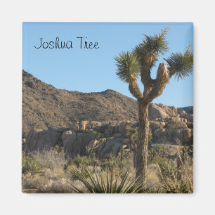 Aimant Le Parc national de Joshua Tree