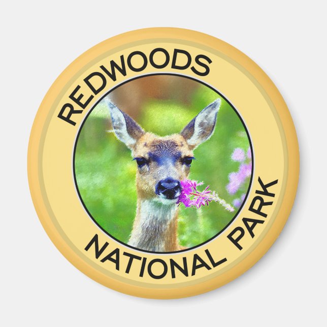 Aimant Le parc national de Redwoods (Devant)