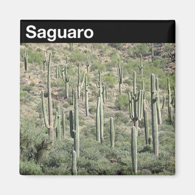 Aimant Le Parc national du Saguaro (Devant)