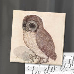 Aimant Le Petit hibou | Albrecht Dürer<br><div class="desc">La Petite Chouette (1506) | La Petite Chouette d’Albrecht Dürer (vers 1508) est une peinture à l’aquarelle et à la gouache finement détaillée qui présente une représentation réaliste d’une petite chouette perchée sur une surface. L’attention particulière portée aux détails par Dürer capte les plumes texturées et l’expression d’alerte de l’oiseau,...</div>