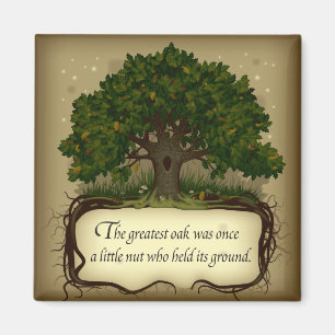 Aimant Le plus grand chêne était jadis un petit noyer q