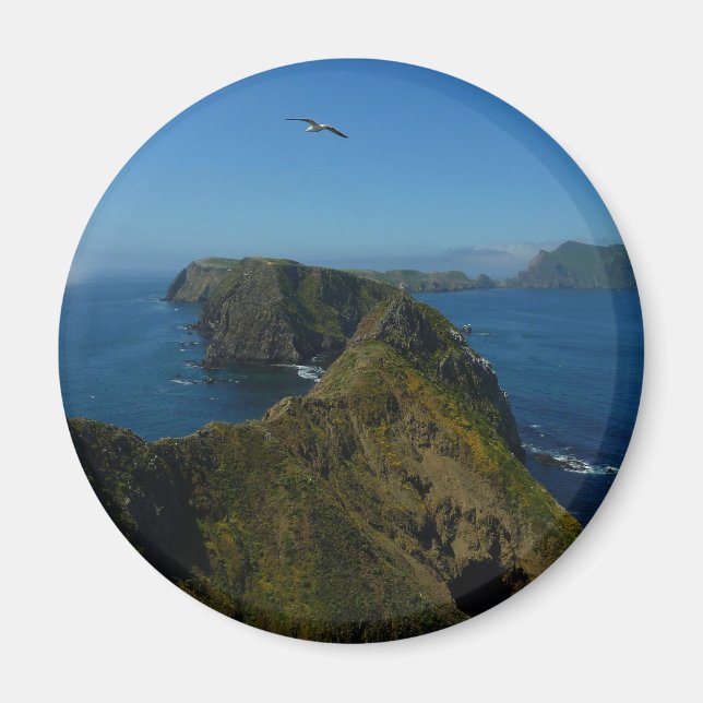 Aimant Le point d'inspiration d'Anacapa I dans les îles d (Devant)