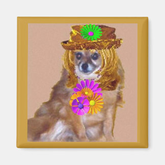 AIMANT LE POM FLEURI