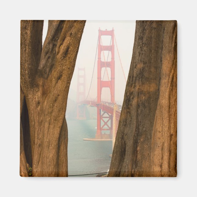 Aimant Le pont du Golden Gate | Arbres de la vue Overlook (Devant)