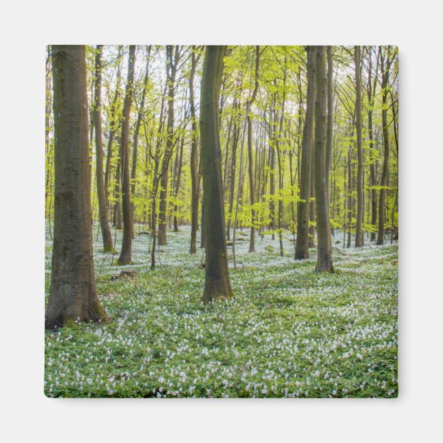 Aimant Le printemps à la vie (Devant)
