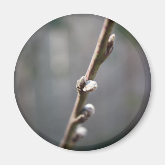 Aimant Le printemps arrive