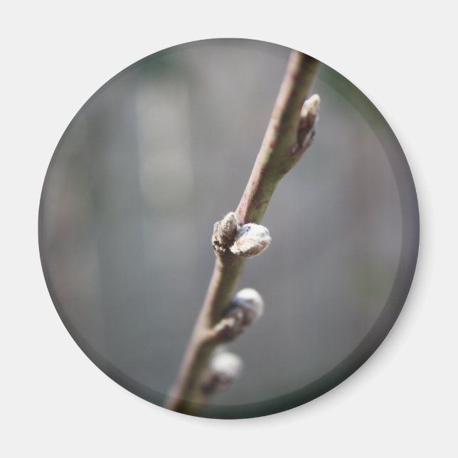 Aimant Le printemps arrive (Devant)