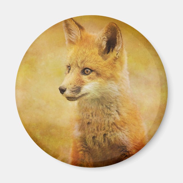 Aimant Le Renard dans le Bois (Devant)